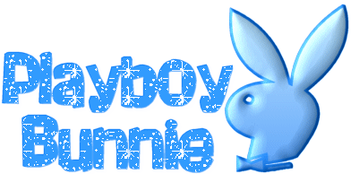 PLAYBOY BUNNIE