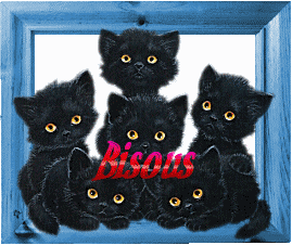 Bisous miaou !